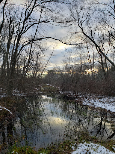 Juniper Hill - Visual