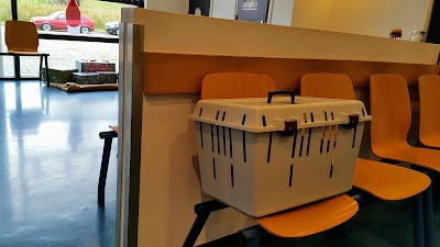 Photos of Animal Hospital Drechtstreek
