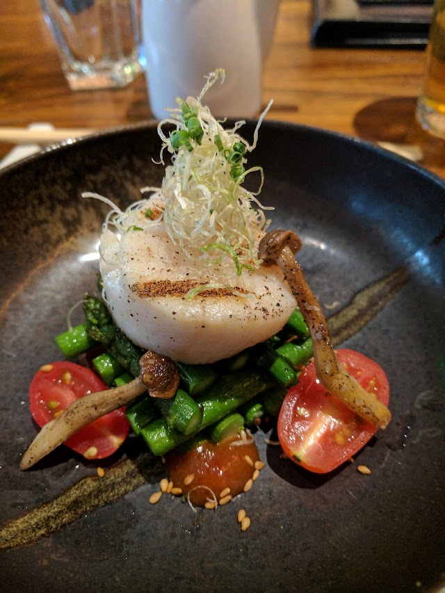 Matsuhisa Denver