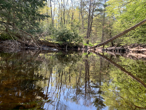 Negutaquet Conservation Area - Thumbnail
