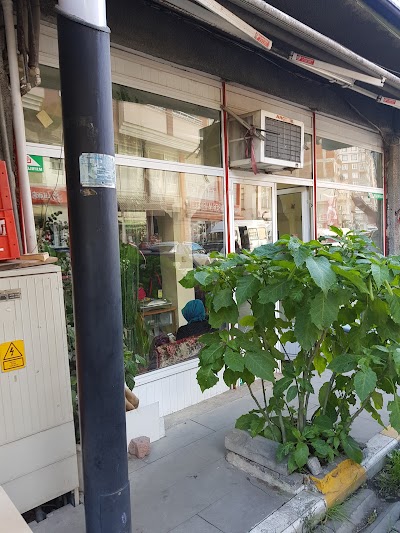 Photos of &Ccedil;ağatay Kırtasiye