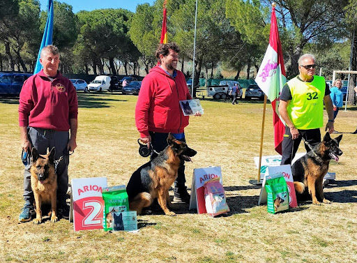 Hotel para perros De Becerrillo Centro Residencial Canino