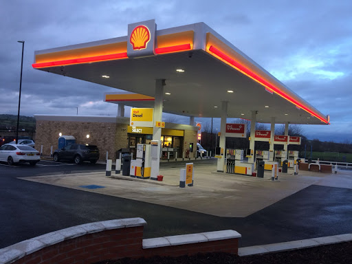 ATM (Shell Pool Bridge) - Visual