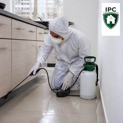 Tired of searching for pest control services near me and still seeing pests at home or office? At… post image