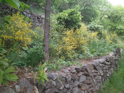 Cà "Bertolda" - Visual