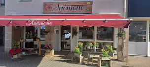 Photo n°1 de Anémone à Pont-du-Château (Fleuriste)