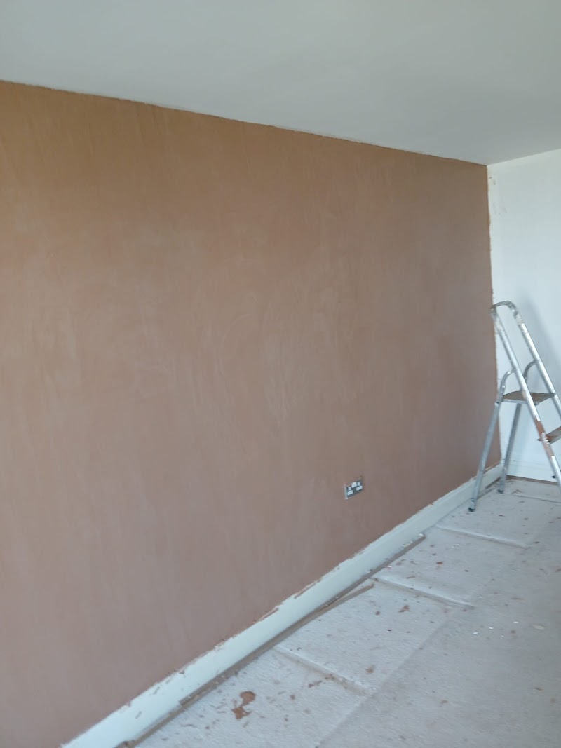 Putney Painters, Putney damp surveyors photo 3