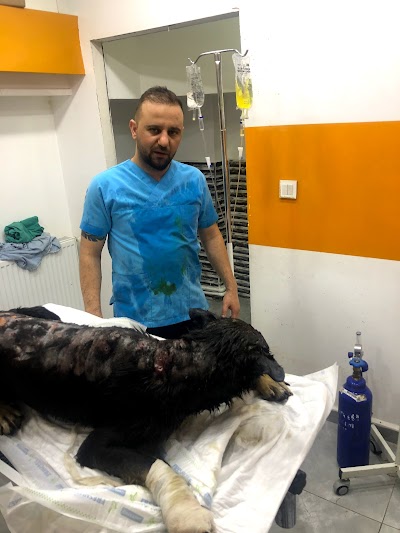 Zonguldak Sempatik veteriner kliniği