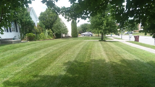 Mom's Lawn Care