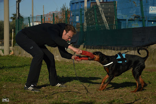 Uomini e Cani Torriglia - Thumbnail