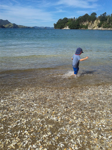 Willis Electrical, Whitianga