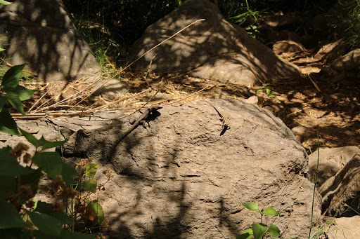 Barranco de Arure - Thumbnail