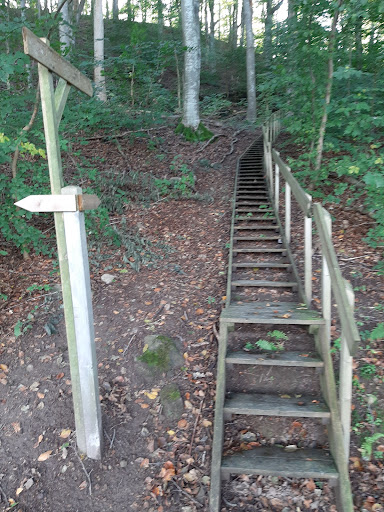Pershögsskogen - Visual