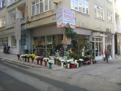 Photos of Kevser Cicek Evi