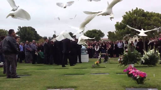 Memorable Moments Dove Release LLC - Thumbnail