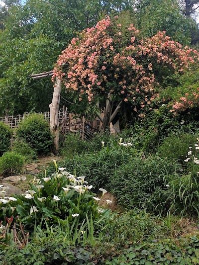 Photos of Damchoe's Homestay