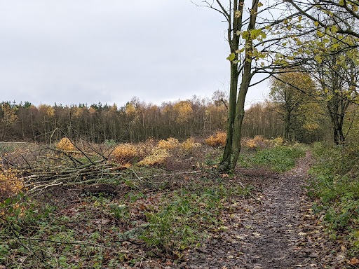 Watchwood Gallery - United Kingdom