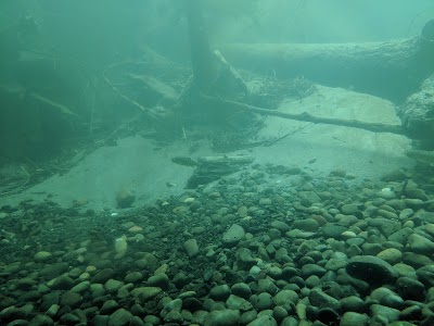 Fish Viewing Center