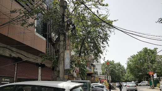 Af1qippq8nclnypqkh8s1l5sbkdswzhpl E8boddurku=s516 K No