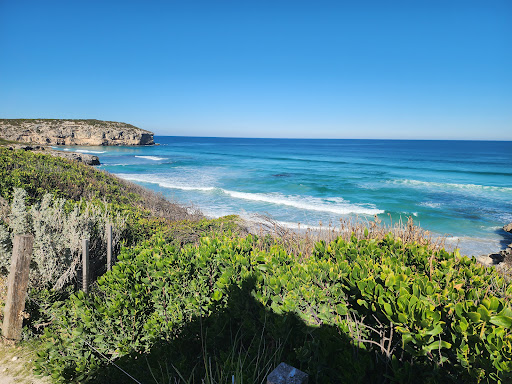 Pennington Bay Carpark - Thumbnail