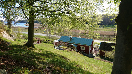 Den gungande gåsen - Thumbnail