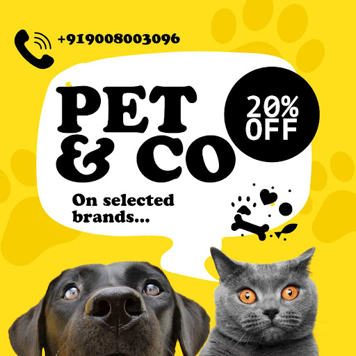 Get Up to 20% Off on Premium Pet Food – Only at PET & CO post image
