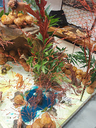 Photo n°4 de Les Pains Des Moissons à Istres (Boulangerie)