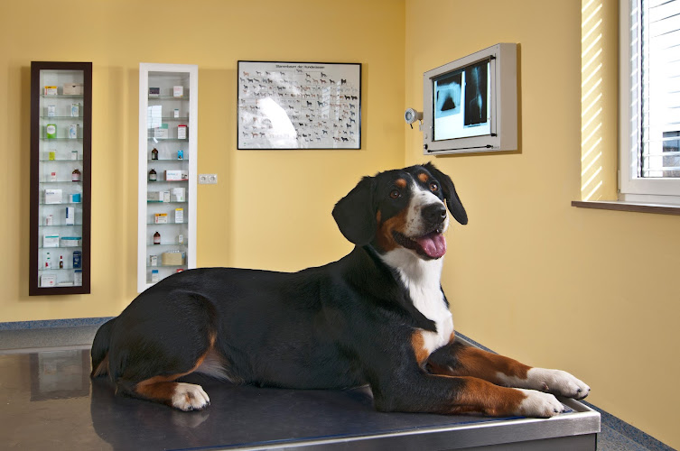 Tierarztpraxis Dr. Horch Schweinfurt, Tierärztliche Gemeinschaftspraxis Dr. Horch GbR