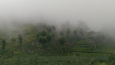 Photos of Lake Richmond