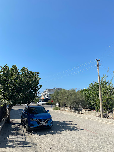 Fethiye Ergoterapi ve Danışmanlık – Betül Karahan