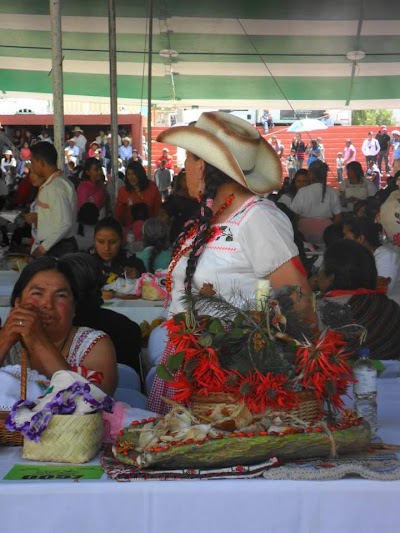 Photos of Presidencia Municipal de Santiago de Anaya Hidalgo