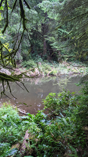 Spring Lake Open Space - Visual