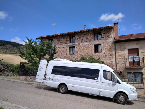 Microbuses Alonso - Visual