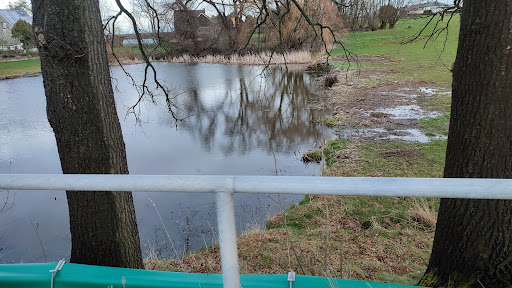Teichhäuser Teich - Thumbnail