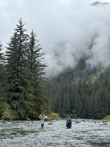 Fly Guides - Visual