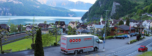 Schmidt Global Relocations Logo