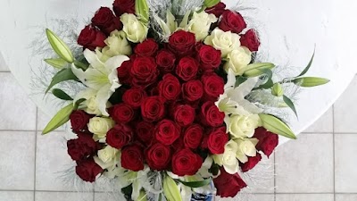 Photos of Fiori e Tulli &Alpha;&nu;&theta;&omicron;&pi;&omega;&lambda;&epsilon;ί&omicron; &Theta;&epsilon;&sigma;&sigma;&alpha;&lambda;&omicron;&nu;ί&kappa;&eta;
