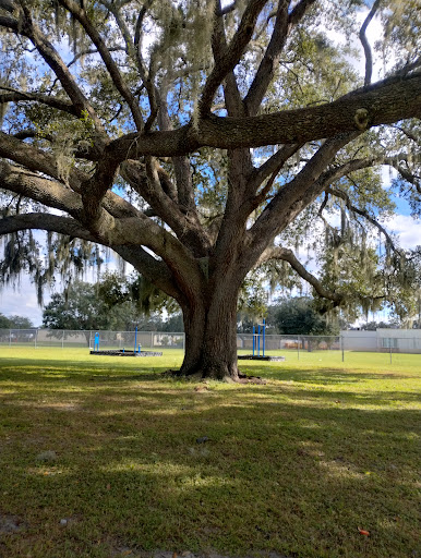 Mort Park - Thumbnail