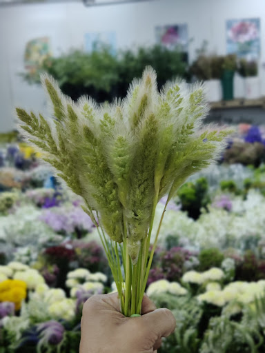 Berkeley Florist Supply - Thumbnail