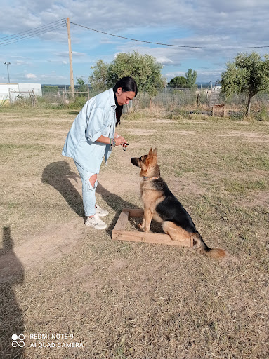 Hotel para perros Club caní Can Laura