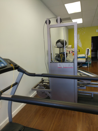 Zenith Physical Therapy - Thumbnail