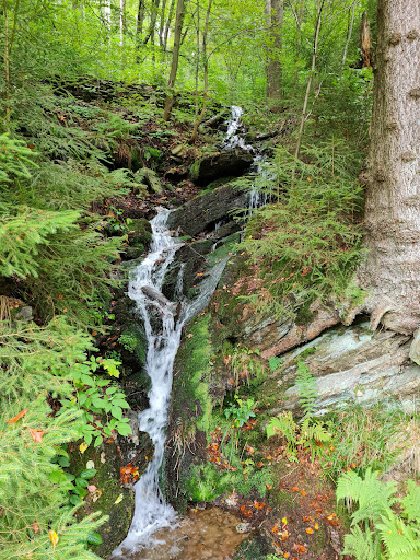 Schwarzwassertal - Visual