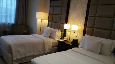 Photos of The Papandayan