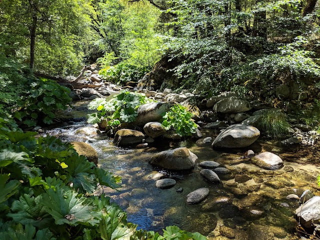 Whiskeytown National Recreation Area