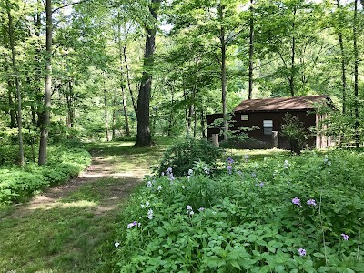 Photos of Woy Bridge Campground