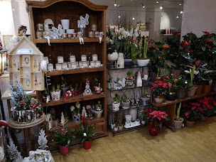 Photo n°53 de Les Fleurs du Boutonnet à Montpellier (Fleuriste)