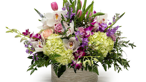 Between Flowers Design - Visual