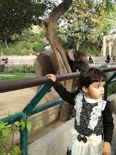 Fountain, Lahore Zoo