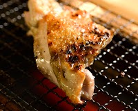 ネオ大衆 カモメヤ小山店