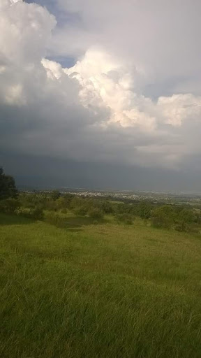 SAN SALVADOR EL VERDE, PUE.